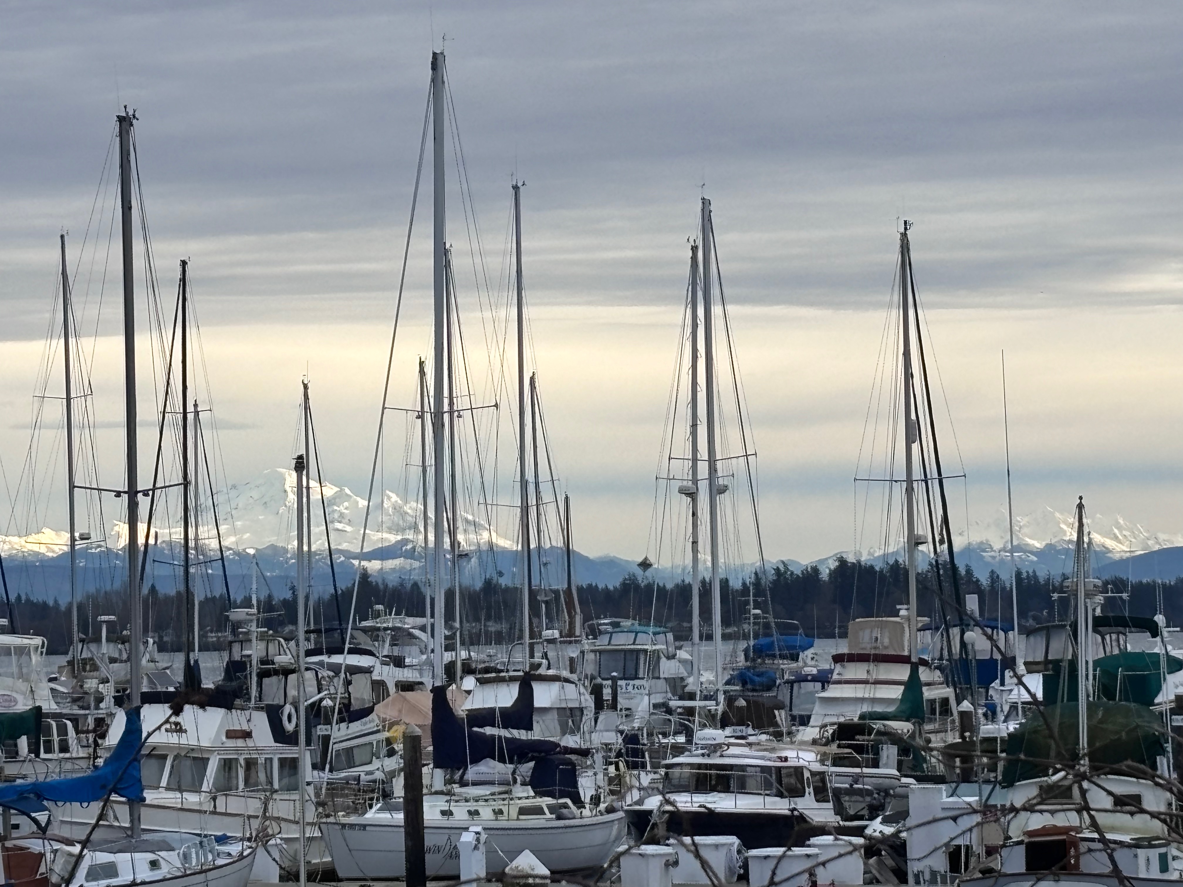 Prepurchase Inspection